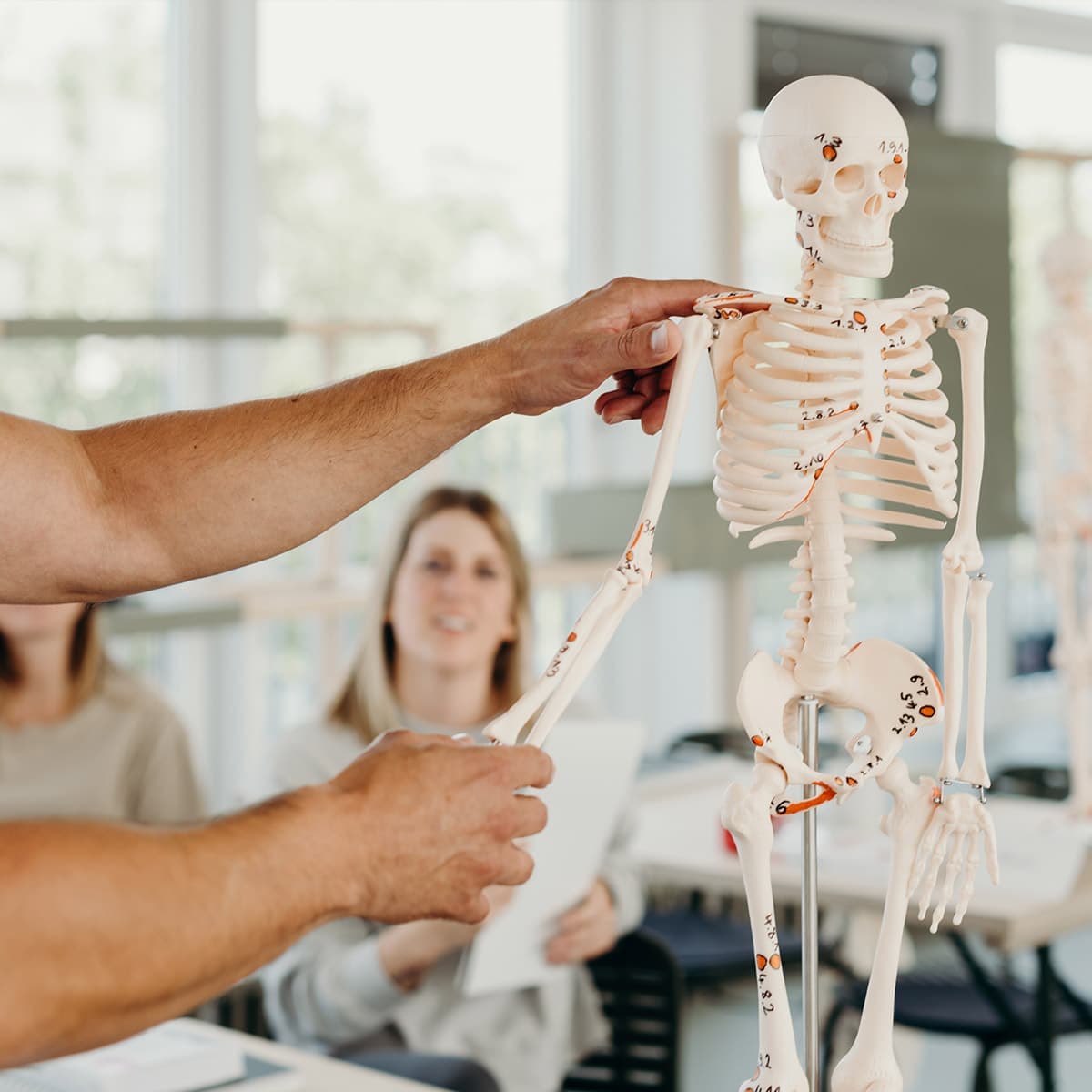 Ein Skelett mit rot markierten Stellen ist zu sehen. Hände berühren Hand und Schulter des Skeletts.