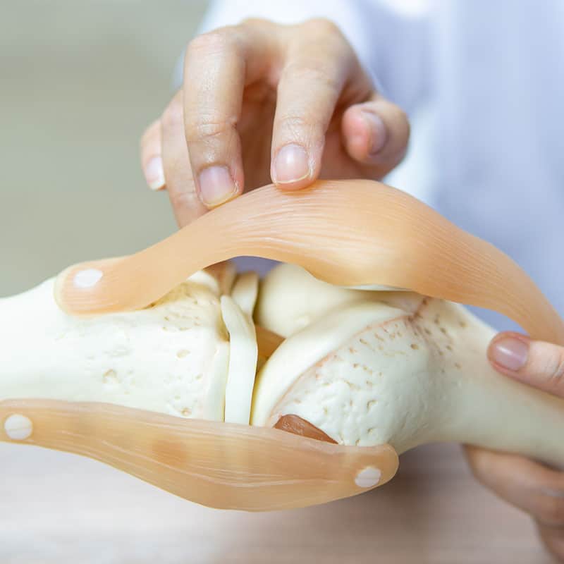 lateral knee pain outside