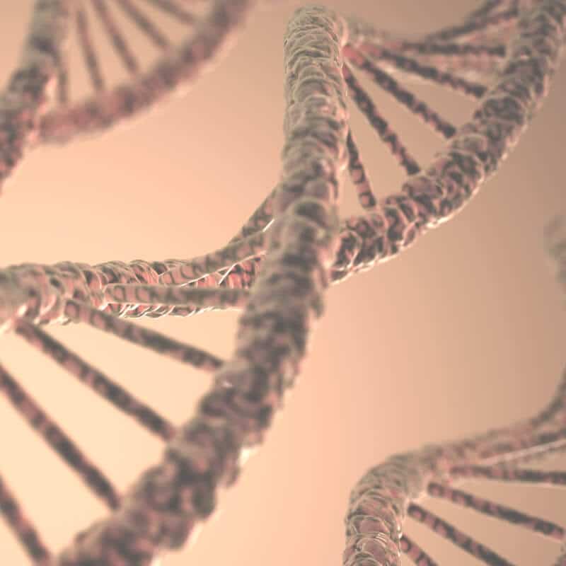 DNA helices