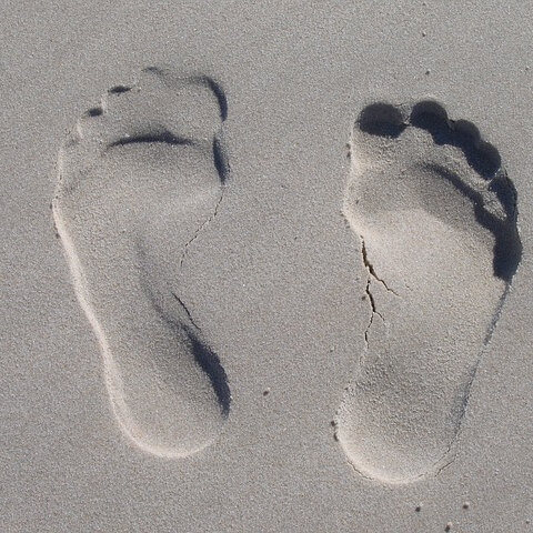 Foot prints in the sand.