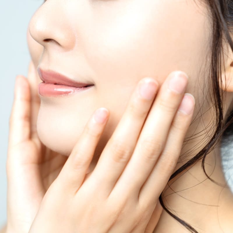 Image of a jaw without TMJ.