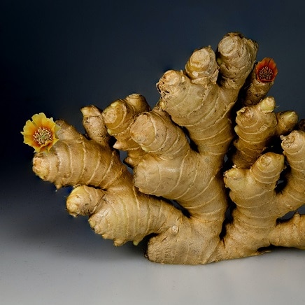 ginger root