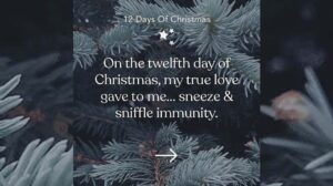 The twelfth day of Christmas Landing Page