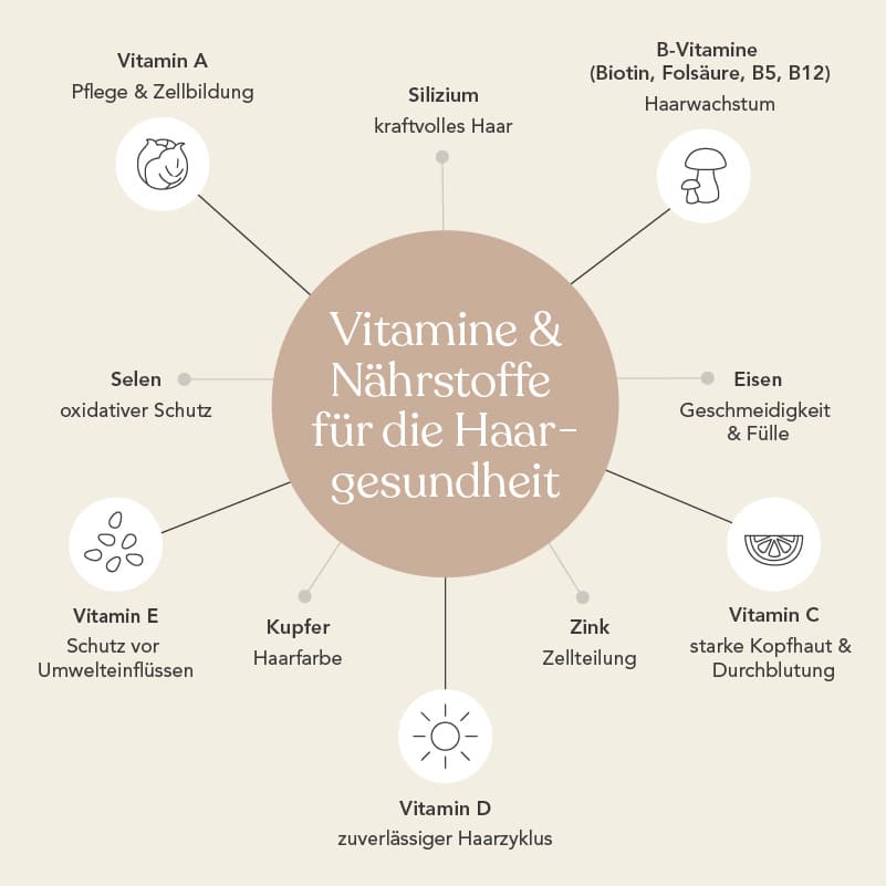 Grafische Darstellung der wichtigsten Nährstoffe fürs Haar: Vitamine A, B, C, D und E sowie die Nährstoffe Selen, Zink, Kupfer, Eisen, Silizium.