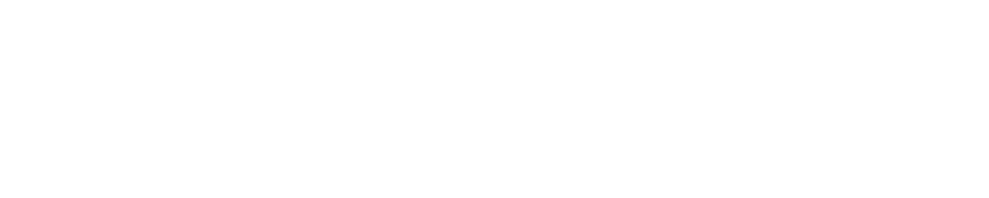 Liebscher & Bracht Logo