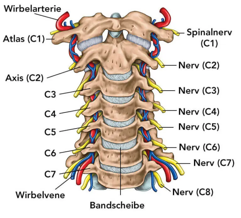 HWSSyndrom Kenne die Ursachen und hilf dir selbst Liebscher & Bracht