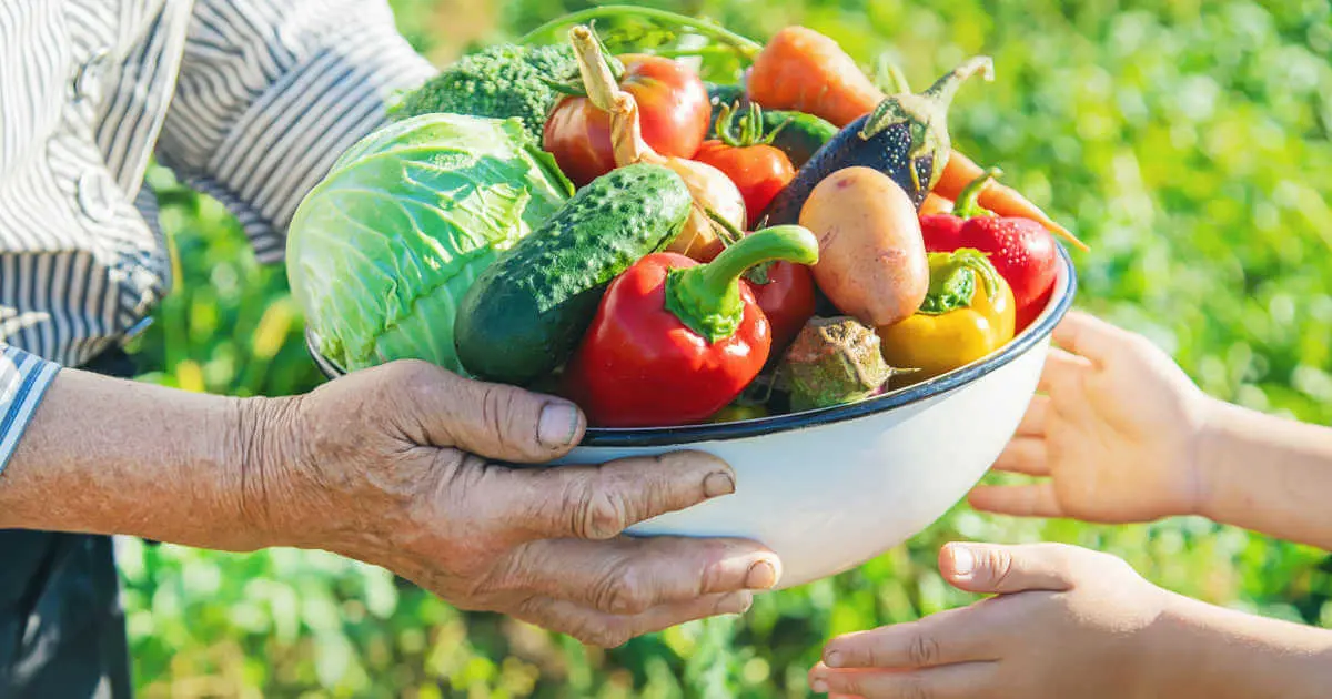 Ein Großvater übergibt seinem Enkel eine Schale voll frisch geerntetem Gemüse aus dem Garten. Zu sehen sind nur die Hände und das Gemüse