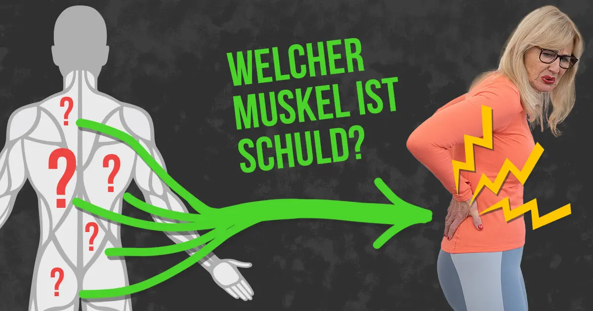 Verspannte Bauchmuskeln? Symptom Rückenschmerzen | Liebscher & Bracht