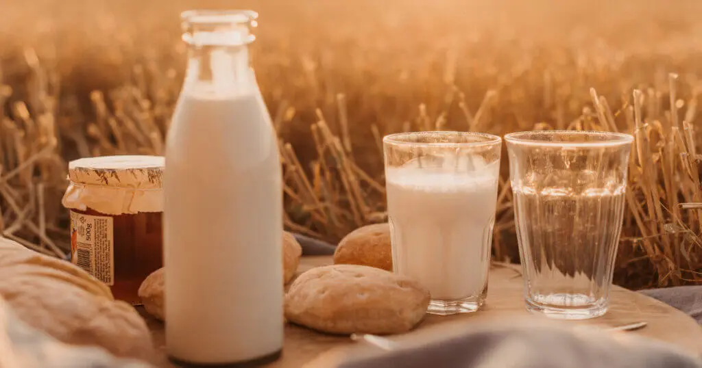 Eine Flasche Milch steht gemeinsam mit zwei Gläsern auf einem Tuch in einem Feld bei Sonnenuntergang