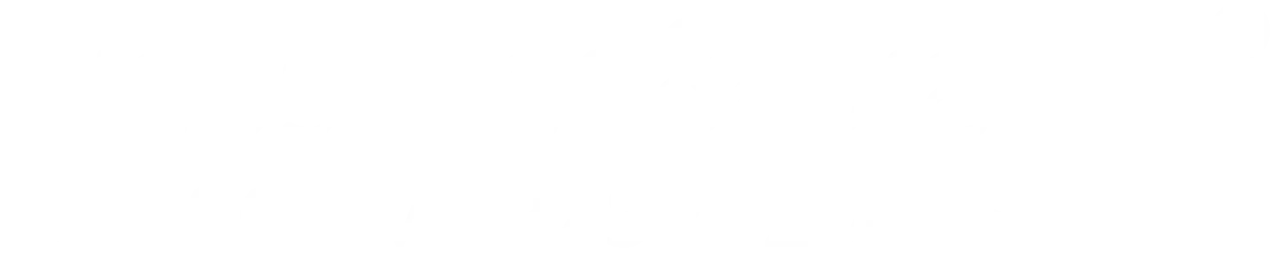 Liebscher & Bracht Logo