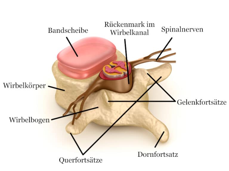 Was Ist Eine Osteochondrose Der Lws www.liebscher-bracht.com
