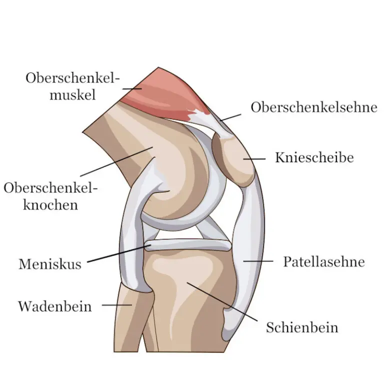 Blockade Im Knie Beim Beugen Und Strecken Knieschmerzen beim Beugen: Diese Übungen helfen | Liebscher & Bracht