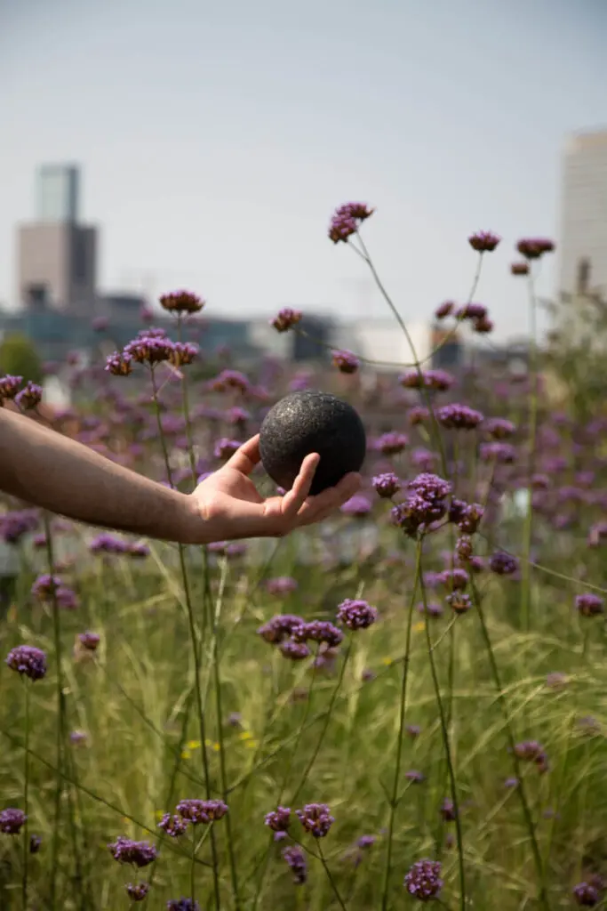 Zu sehen ist eine Hand, die eine Faszienkugel in die Kamera hält. Im Hintergrund ist eine Blumenwiese mit lila Blumen zu sehen.