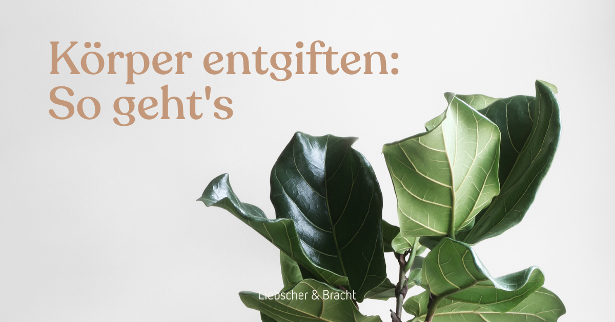 Eine Pflanze, daneben ein Schriftzug.