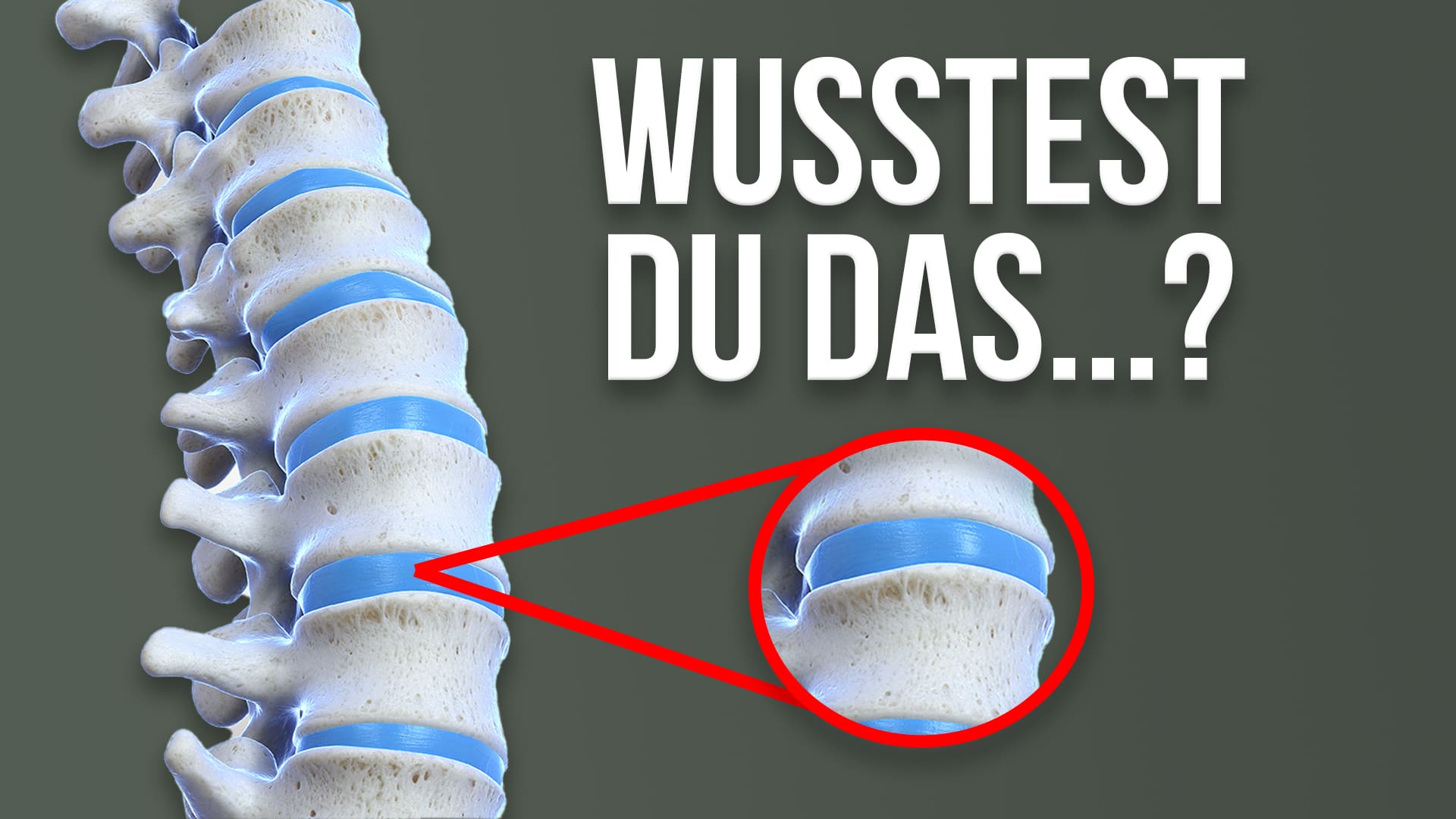 Deine Bandscheiben Das musst du wissen, damit sie gesund bleiben