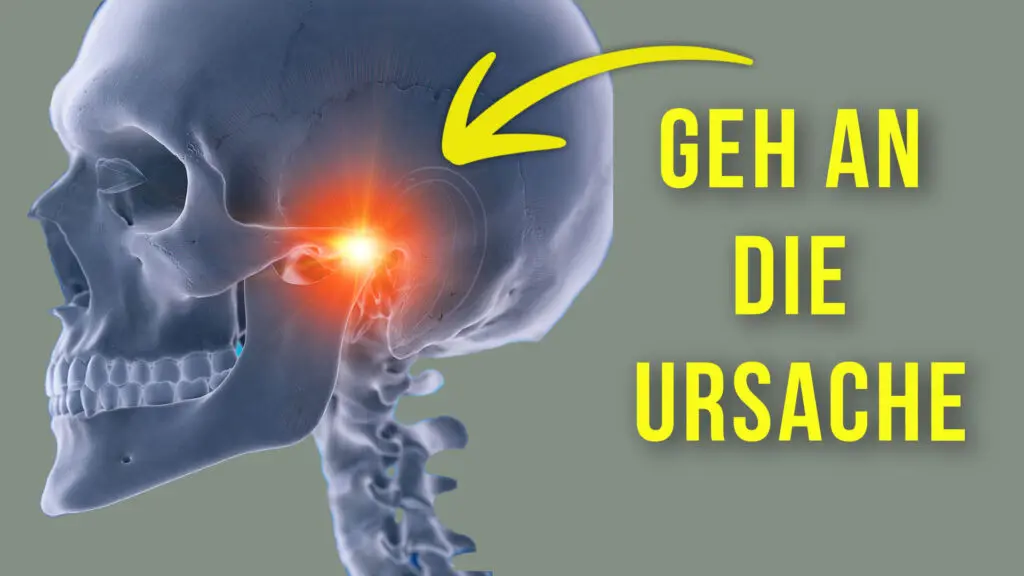 Die Grafik eines Schädel-Skeletts, der Kiefer ist mit einem roten Punkt markiert