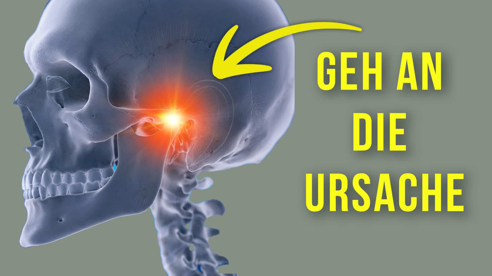Mund Geht Nicht Weit Auf www.liebscher-bracht.com