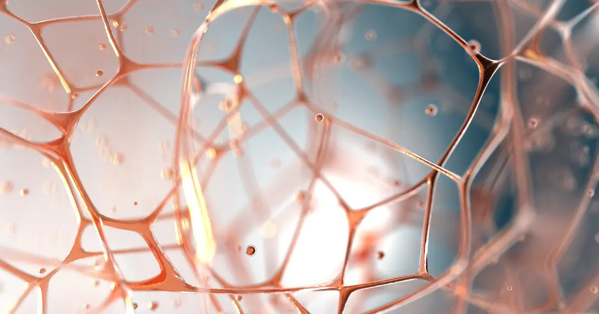 Das 3D-Bild eines Fasziennetzes