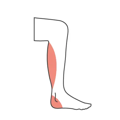 Zeichnung eines Beines. Wade und Ferse sind rot eingefärbt