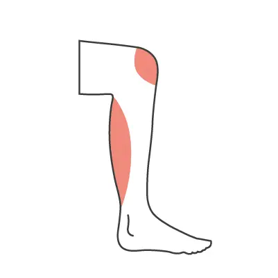 Zeichnung eines Beines. Knie und Wade sind rot eingefärbt.