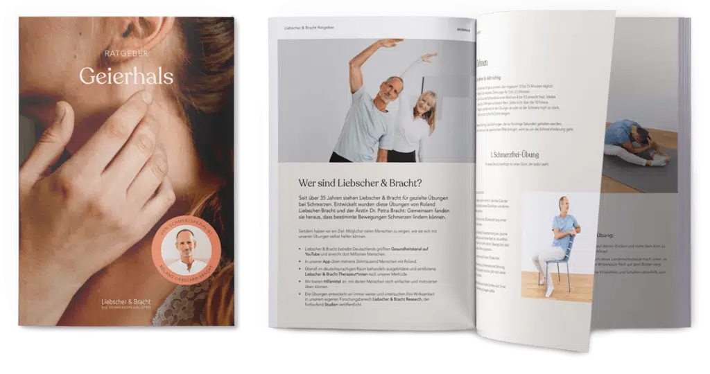Download Ratgeber Geierhals Liebscher & Bracht