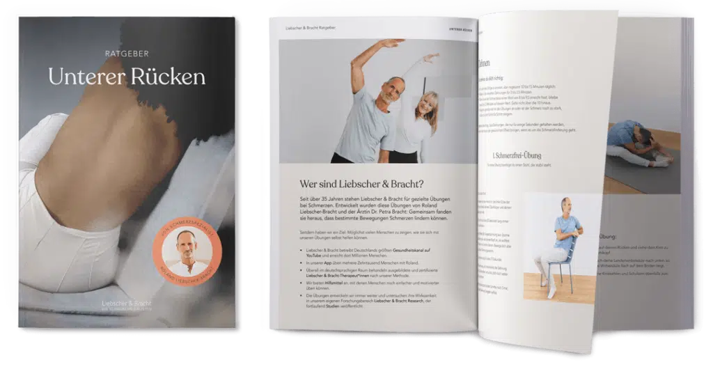 Download Ratgeber Unterer Rücken Liebscher & Bracht