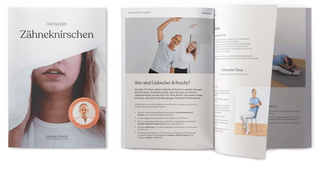 Download Ratgeber Zähneknirschen Liebscher & Bracht