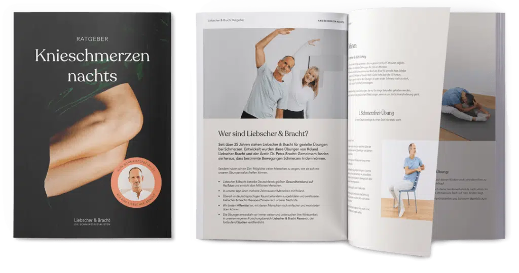 Download Ratgeber Knieschmerzen Nachts Liebscher & Bracht