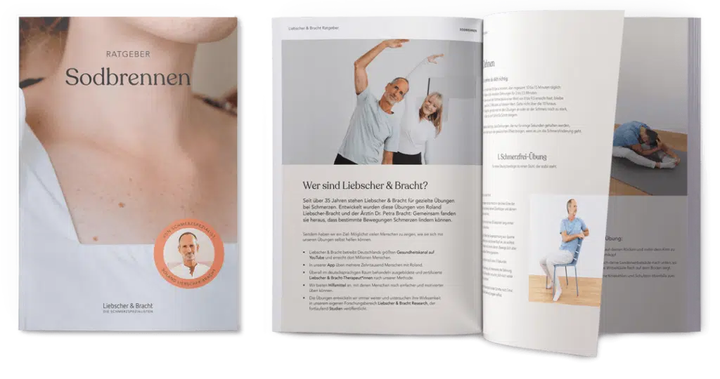 Download Ratgeber Sodbrennen Liebscher & Bracht
