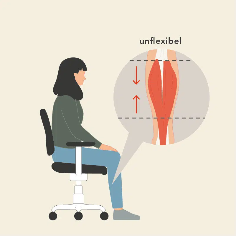 Die Zeichnung zeigt eine sitzende Frau. Ein Lupenausschnitt am Bein zeigt die Anatomie ihrer kontrahierten Wadenmuskulatur