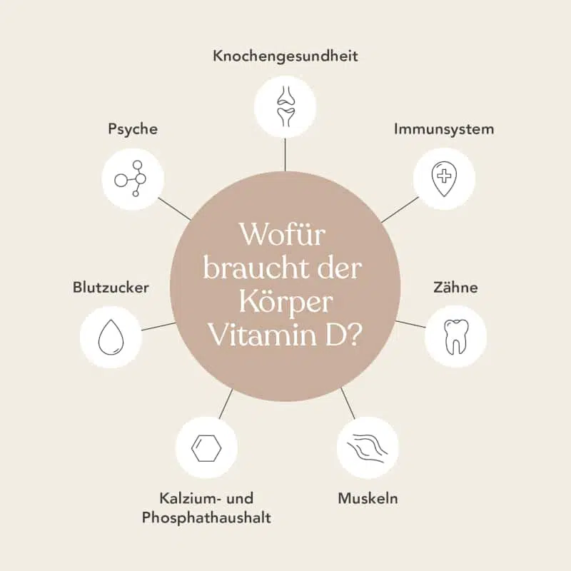 Dein Körper braucht eine gute Vitamin-D-Versorgung für die Knochengesundheit, das Immunsystem, die Zähne, die Muskeln und noch vieles mehr.