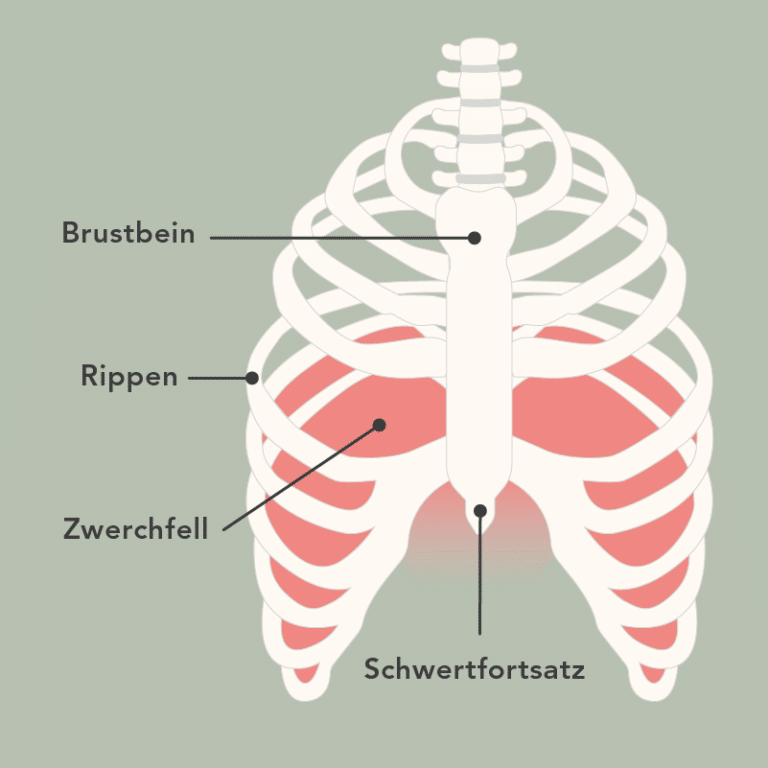 Brustschmerzen: Übungen gegen die Schmerzen | Liebscher & Bracht