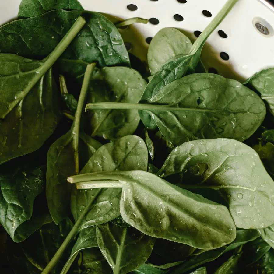 Frisch gewaschene Blätter Spinat liegen zusammen in einem hellen Sieb