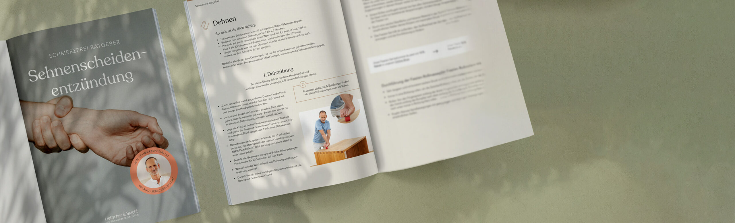 Zwei Seiten des Ratgebers zu Sehnenscheidenentzündung sind vor grau-grünem Hintergrund.
