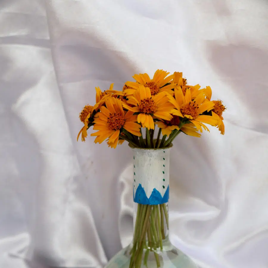Ein Strauss Arnikablumen steht in einer Vase vor einem weißen Tuch.
