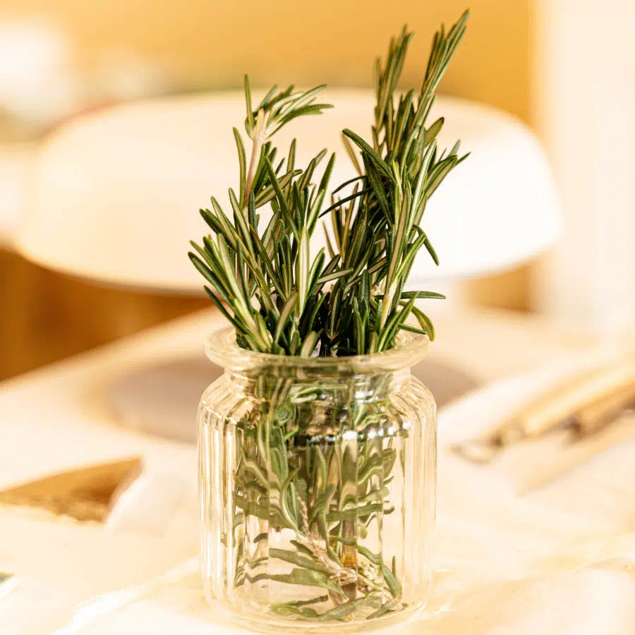 Ein Bündel Rosmarin steht in einer kleinen Glasvase auf einem Tisch.