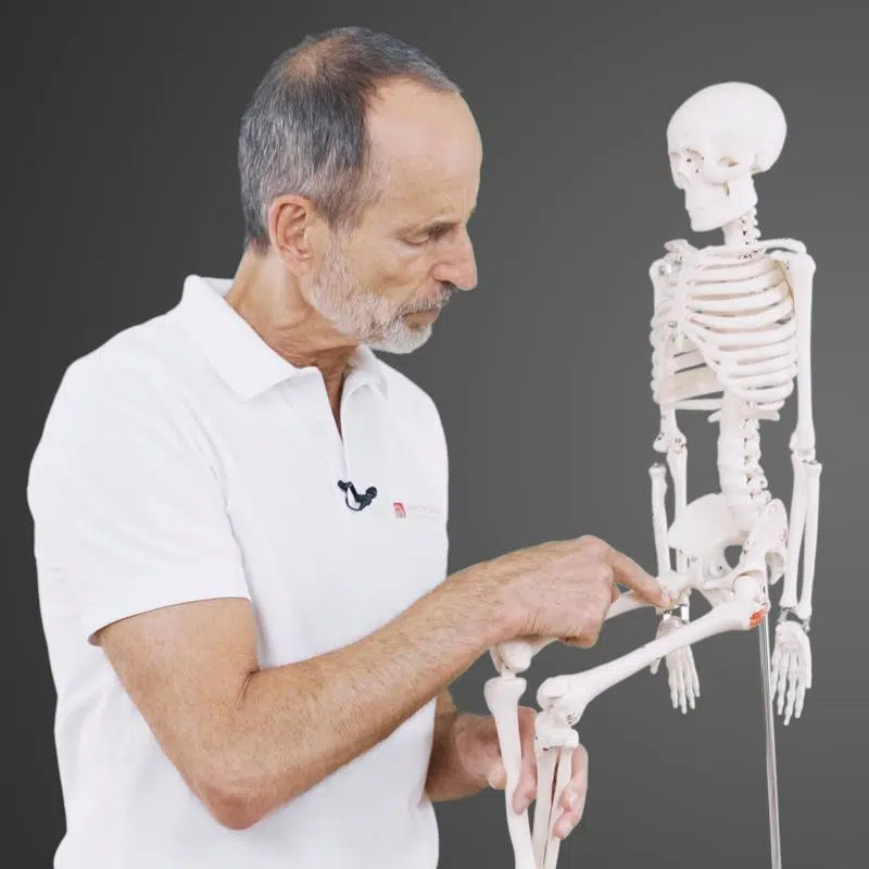 Roland Liebscher-Bracht erklärt etwas an einem Skelett. Dazu hält er die Beine des Skeletts hoch, sodass es eine sitzende Haltung einnimmt. Am Skelett zeigt er auf einen Punkt am Oberschenkelknochen nahe der Hüfte.