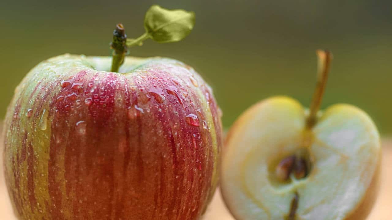 Ballaststoffe gegen Übergewicht & Schmerzen Liebscher & Bracht