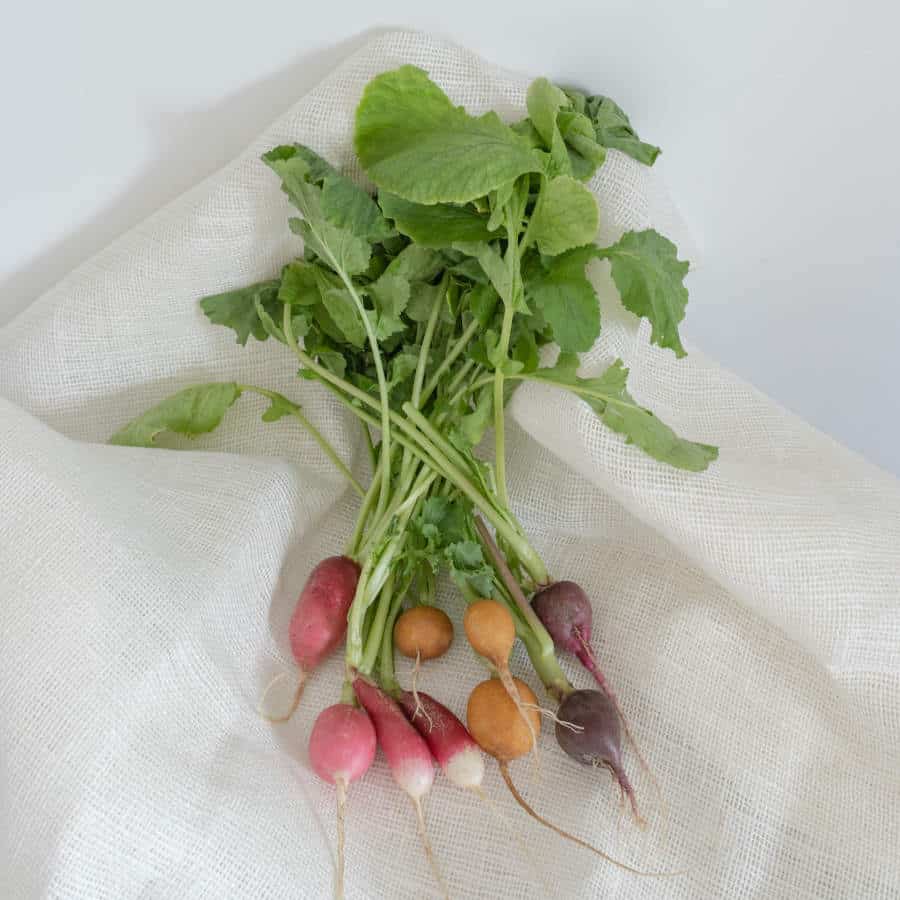 Ein Bund bunter Radieschen liegt auf einem weißen Leinentuch auf einem Tisch.