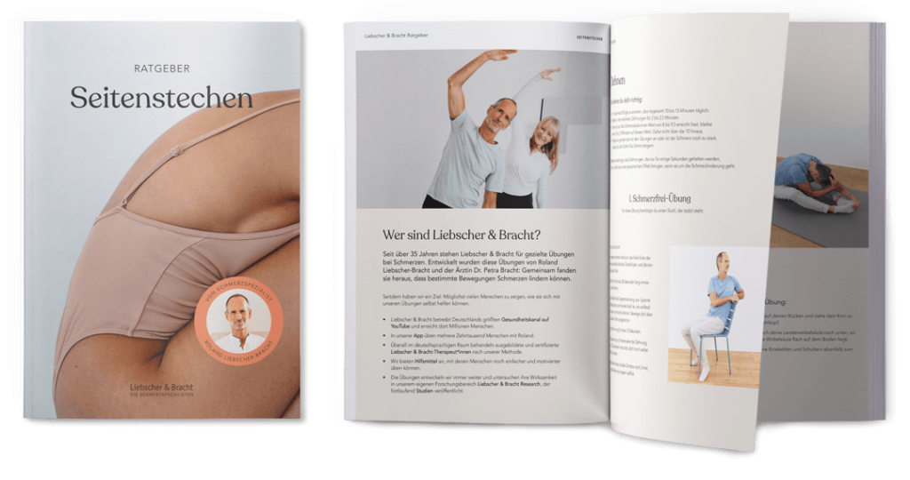 Mockup Ratgeber Seitenstechen