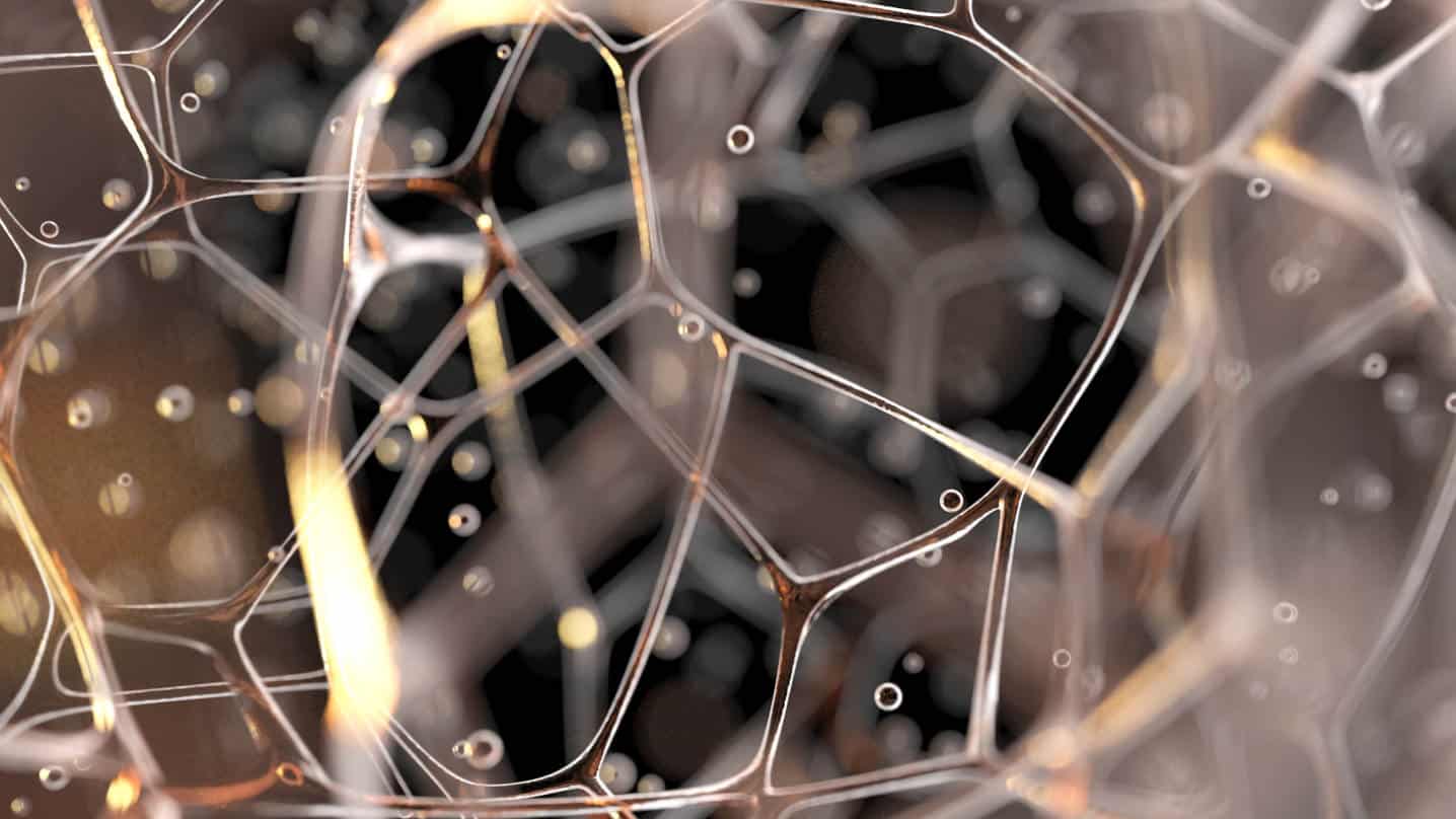 Forschung zeigt Faszien können Ursache für Schmerzen sein