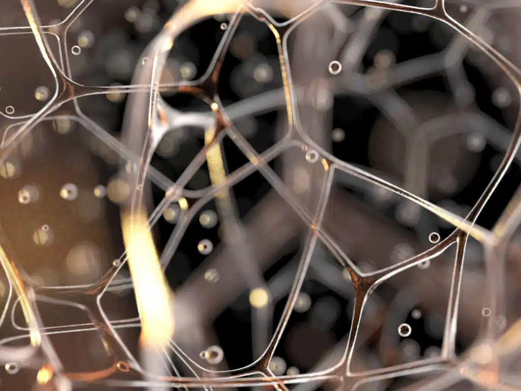 Modell Darstellung Fasziengewebe