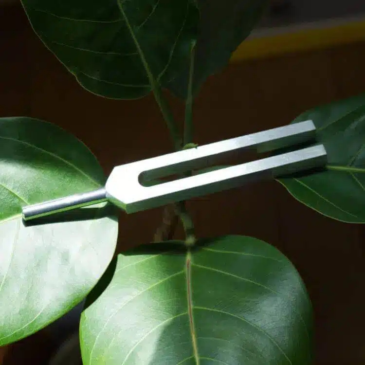 Eine silberne Stimmgabel liegt sanft auf den großen Blättern einer grünen Pflanze.