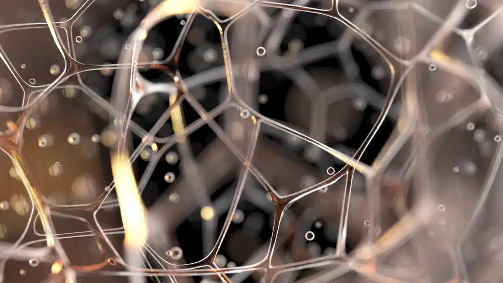 Modell Darstellung Fasziengewebe