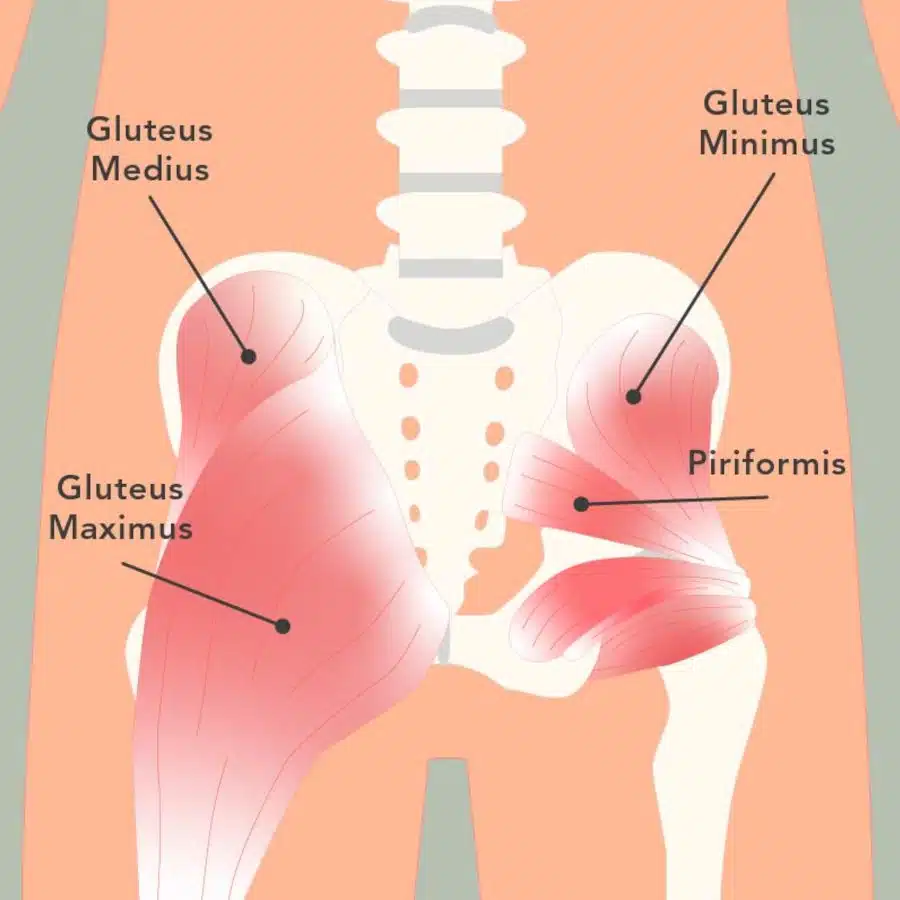 Gesäßmuskeln beim Piriformis-Syndrom mit Piriformis, Glutes Maximus, Gluteus Medius und Gluteus Minimus.