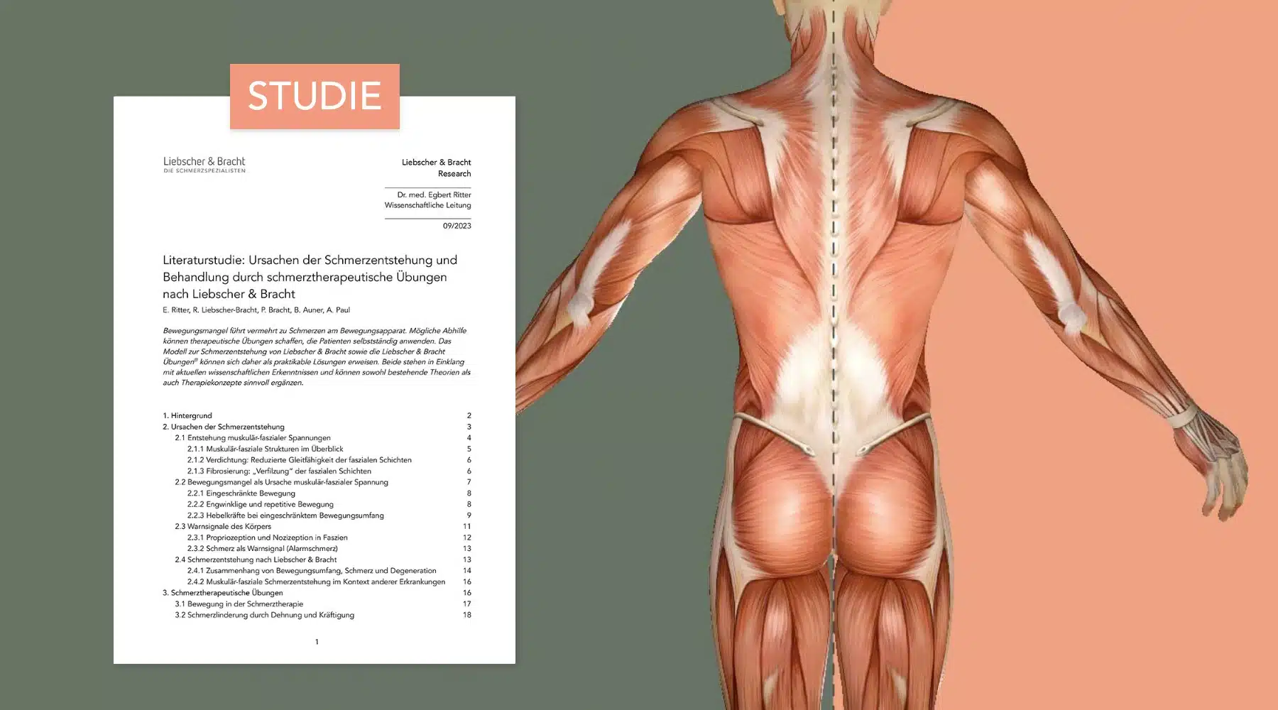 Anatomische Grafik der Körperrückseite eines Menschen, auf der Muskeln zu sehen sind. Links von der Grafik ist das Titelblatt einer Liebscher & Bracht Literaturstudie zu sehen