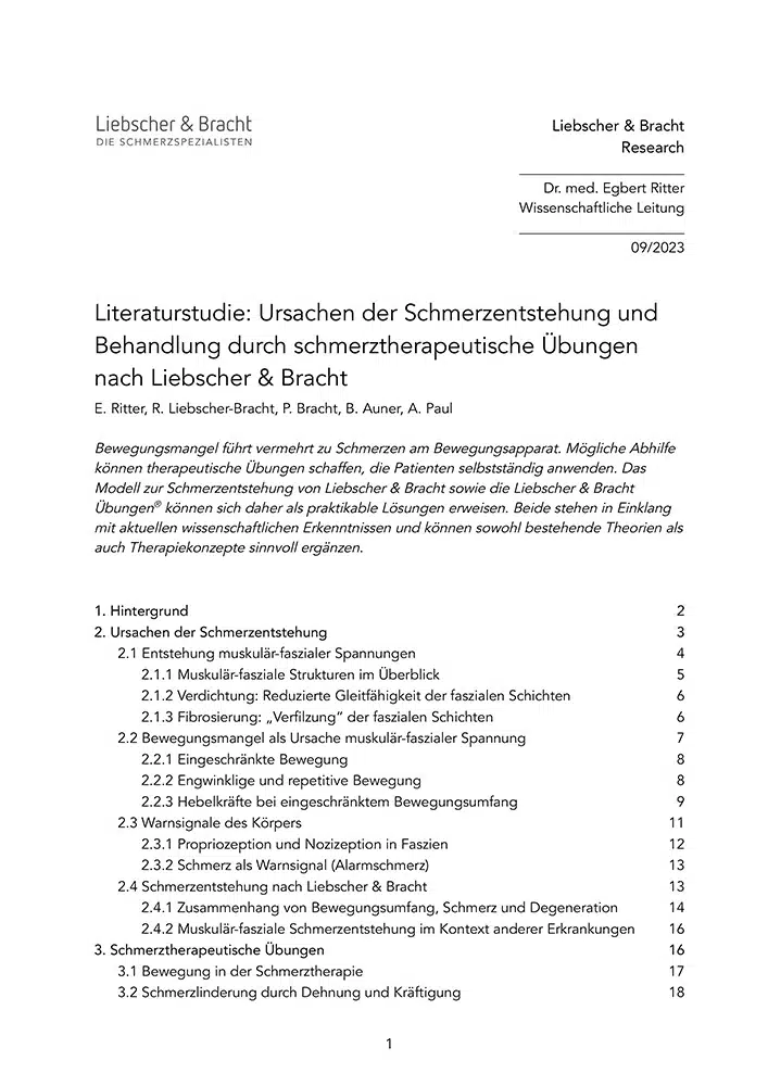 Das Titelblatt der Literaturstudie "Ursachen der Schmerzentstehung und Behandlung durch schmerztherapeutische Übungen nach Liebscher & Bracht"
