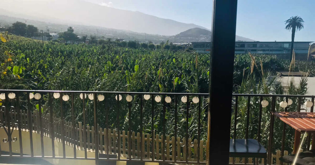 Blick von einer Veranda auf eine Bananenplantage, im Hintergrund ist eine gebirgige Landschaft zu sehen