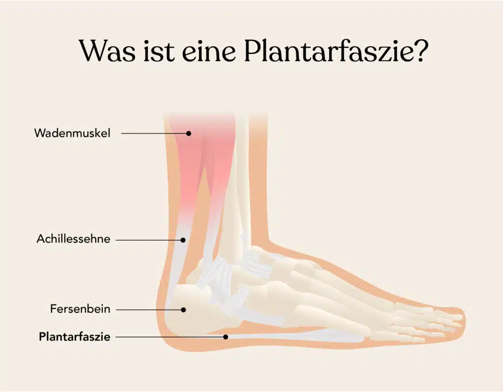 Was ist eine Plantarfaszie
